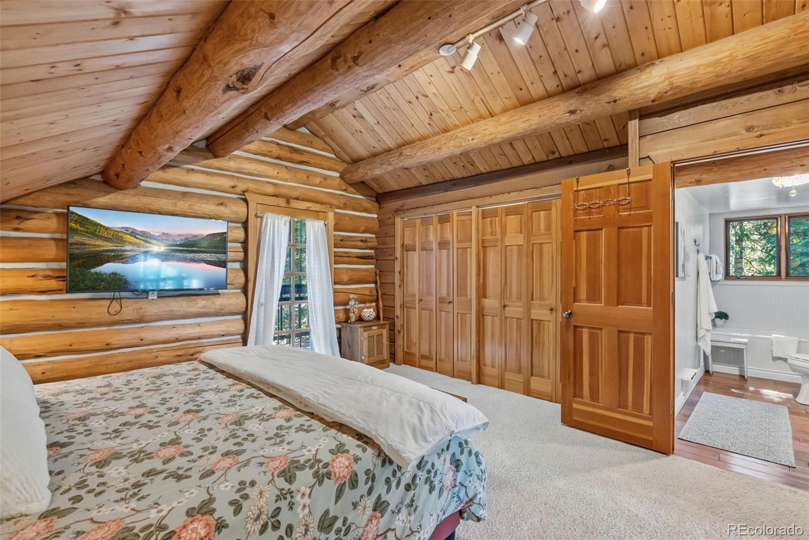 MLS Image #27 for 291  cr 533 ,breckenridge, Colorado