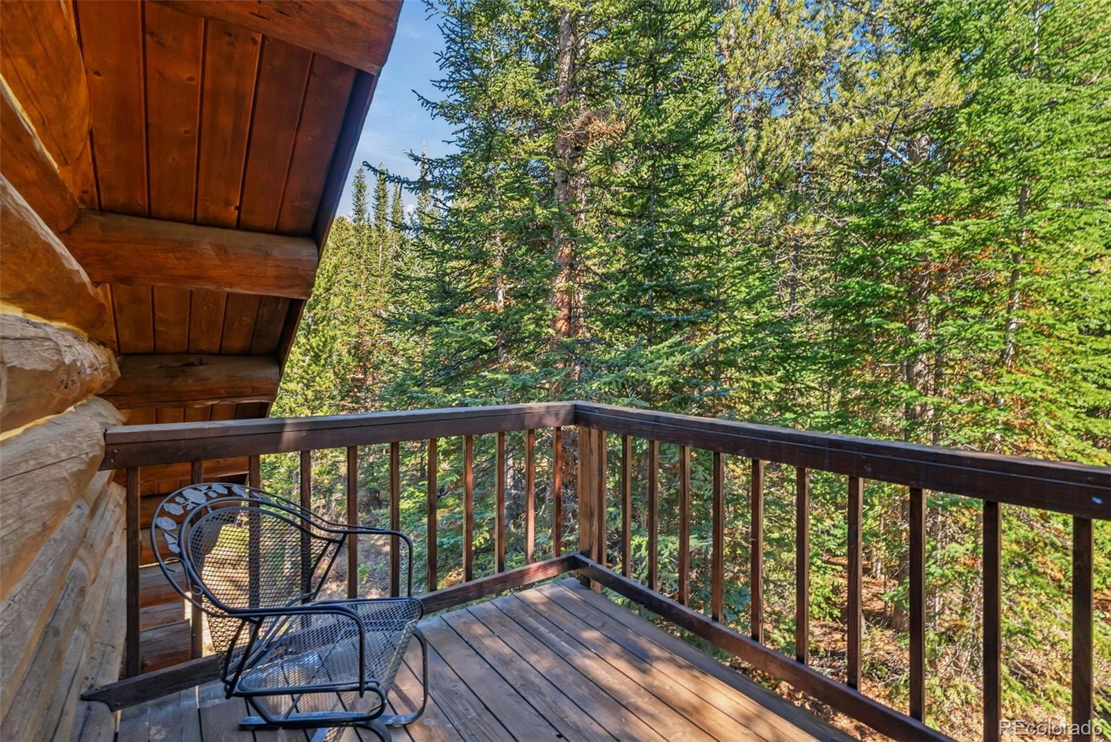 MLS Image #28 for 291  cr 533 ,breckenridge, Colorado