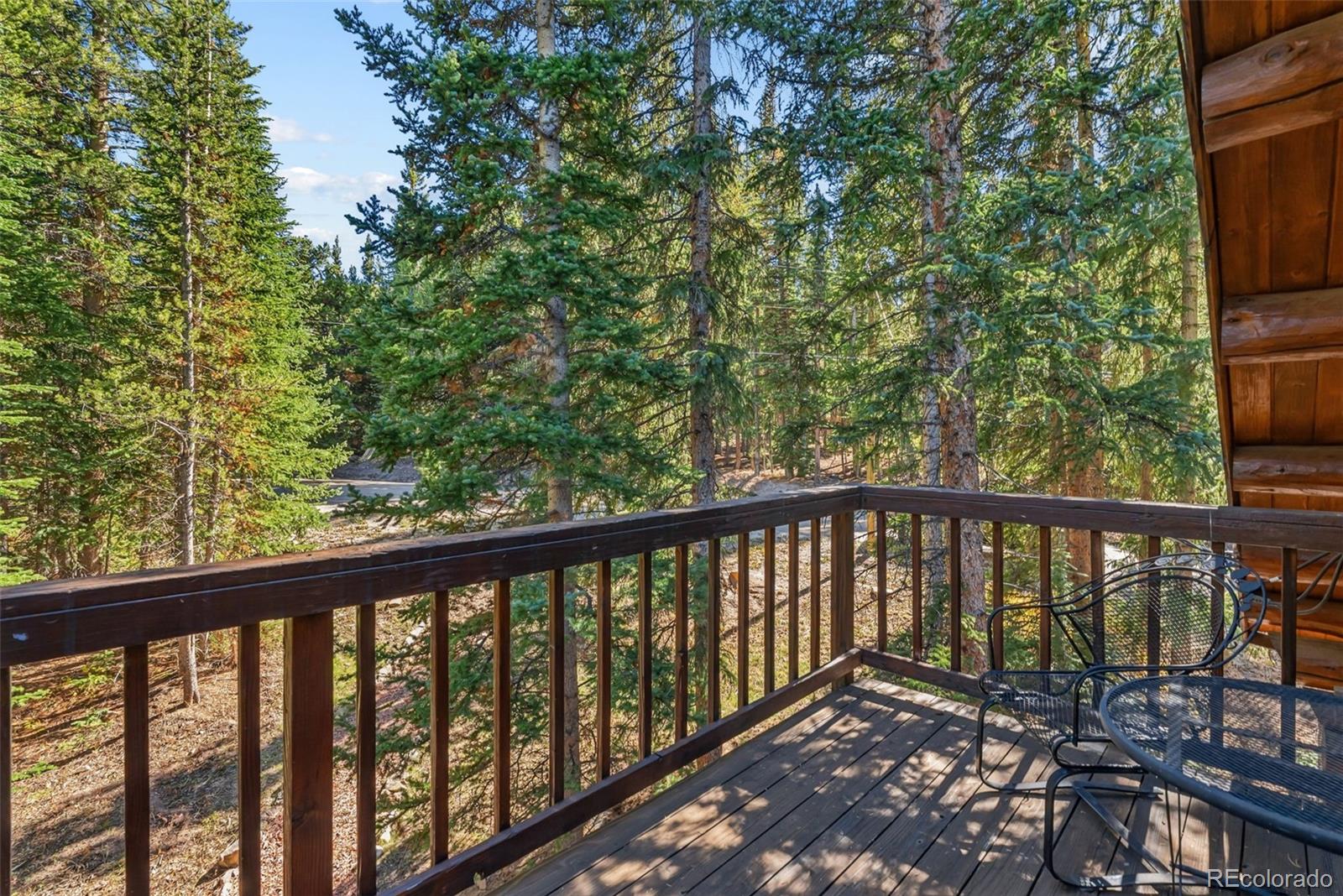 MLS Image #29 for 291  cr 533 ,breckenridge, Colorado
