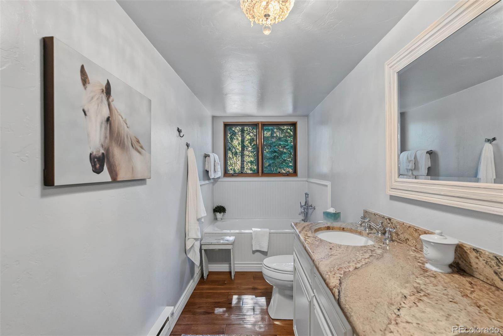 MLS Image #30 for 291  cr 533 ,breckenridge, Colorado