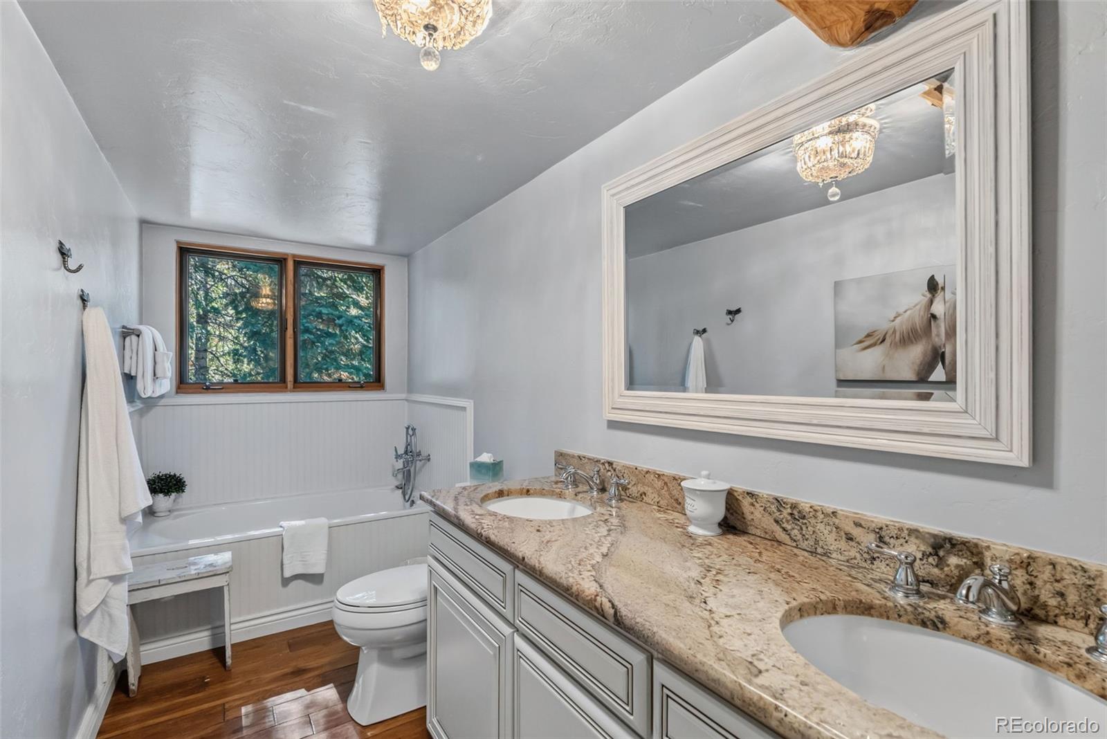 MLS Image #31 for 291  cr 533 ,breckenridge, Colorado