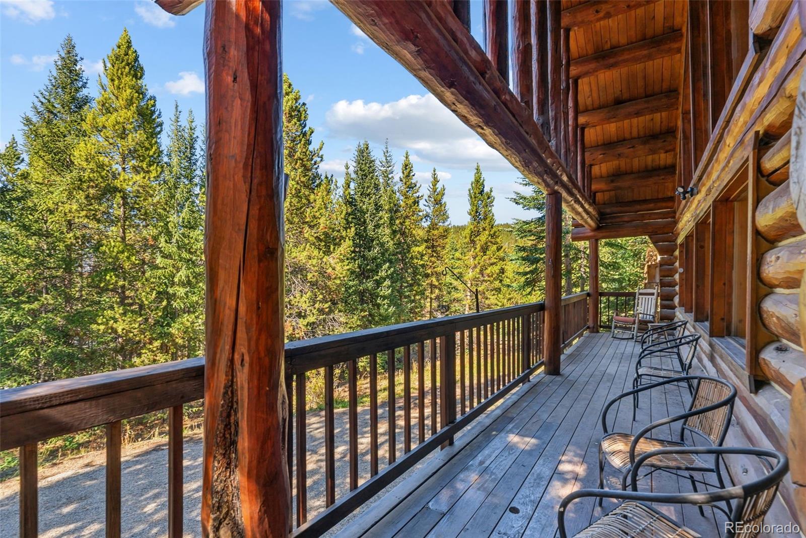 MLS Image #32 for 291  cr 533 ,breckenridge, Colorado