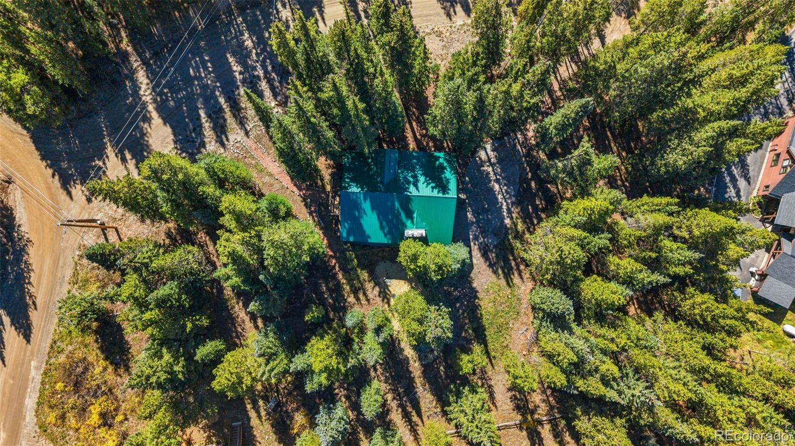 MLS Image #36 for 291  cr 533 ,breckenridge, Colorado
