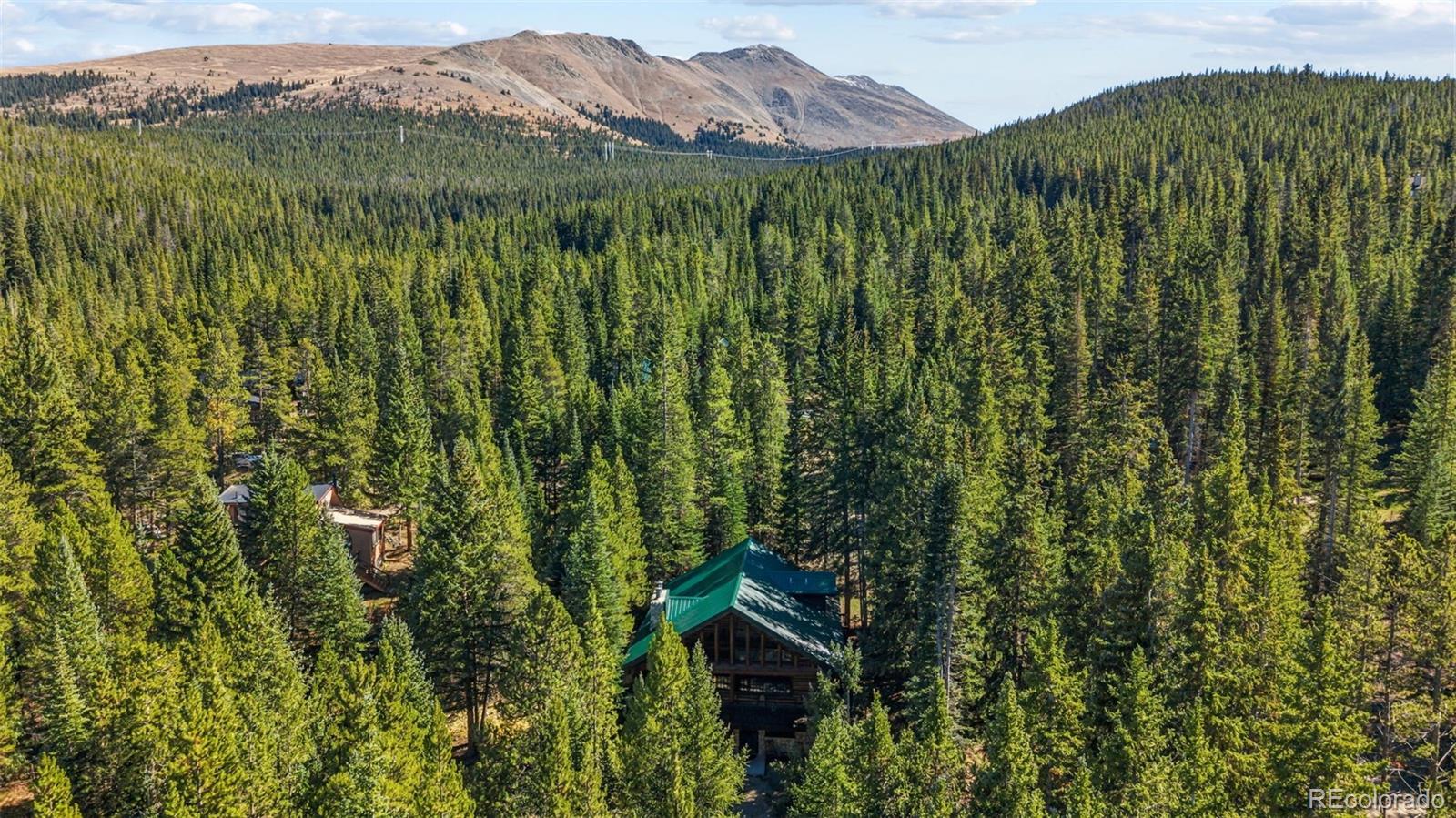 MLS Image #37 for 291  cr 533 ,breckenridge, Colorado