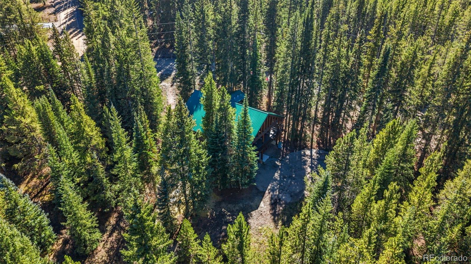 MLS Image #38 for 291  cr 533 ,breckenridge, Colorado