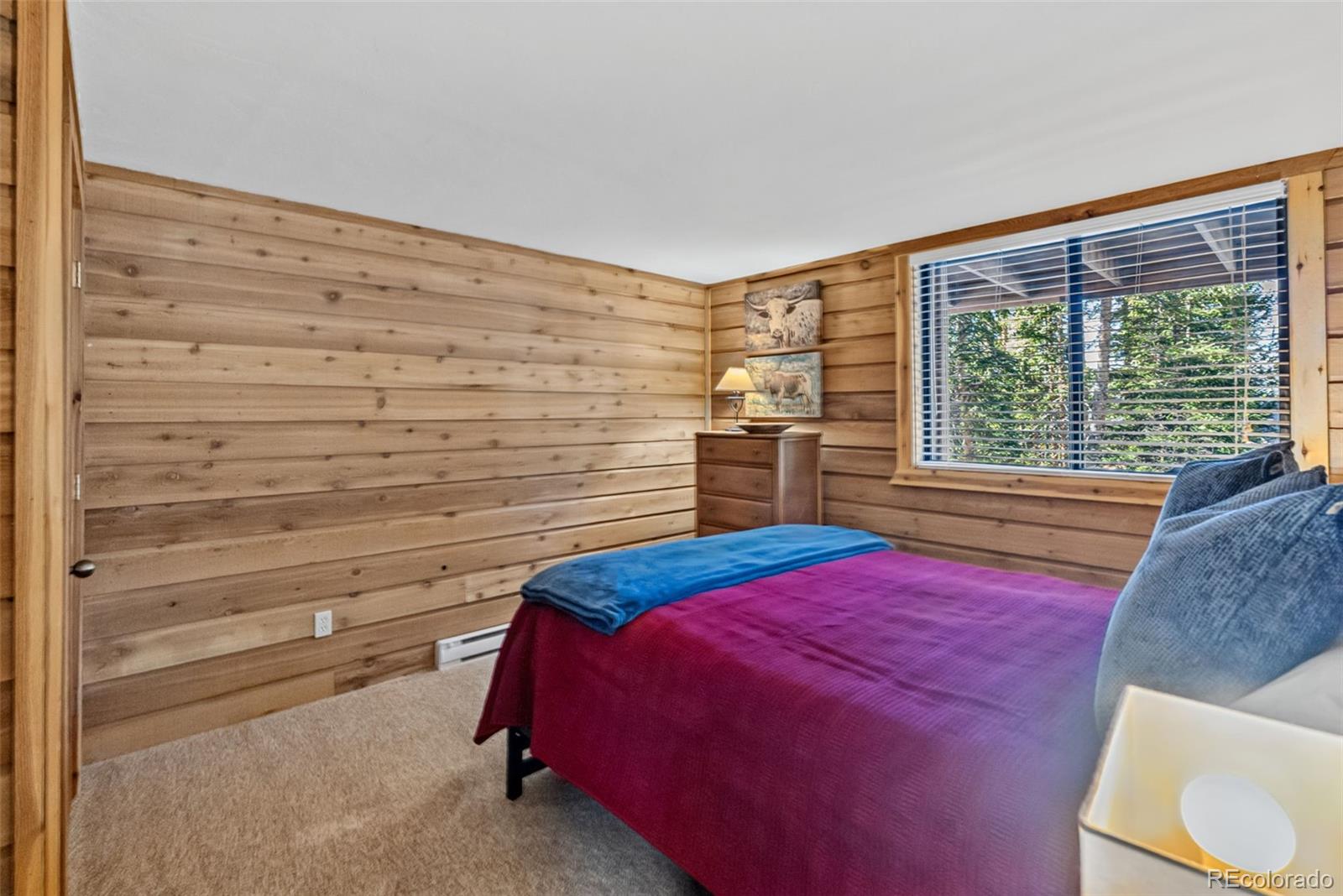 MLS Image #40 for 291  cr 533 ,breckenridge, Colorado
