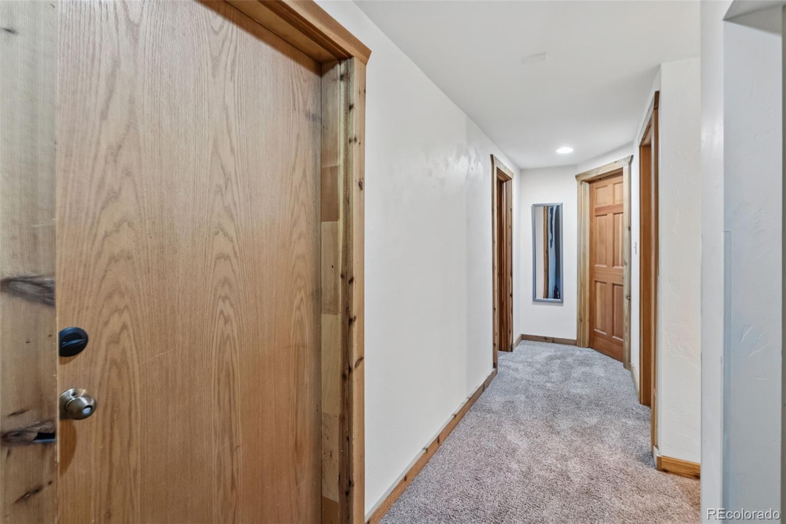 MLS Image #42 for 291  cr 533 ,breckenridge, Colorado