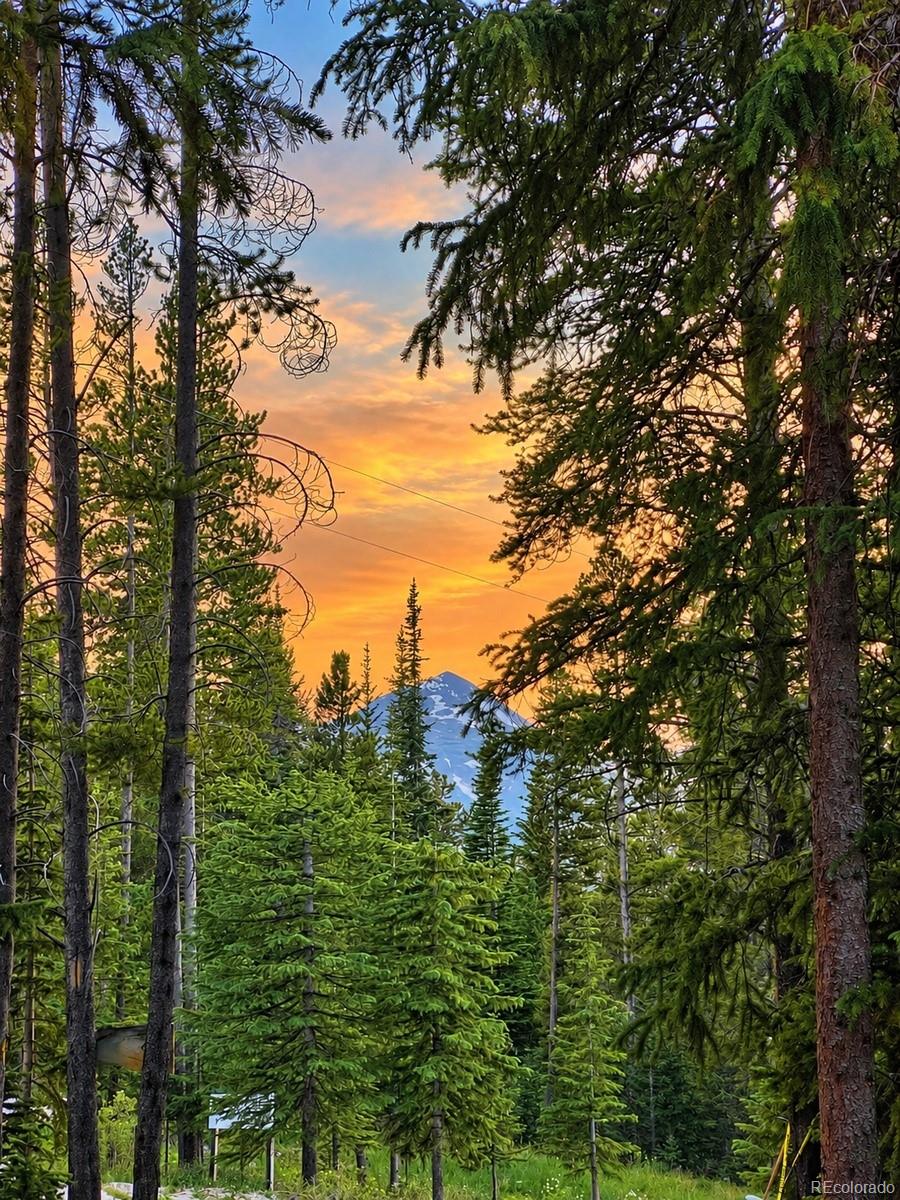 MLS Image #49 for 291  cr 533 ,breckenridge, Colorado