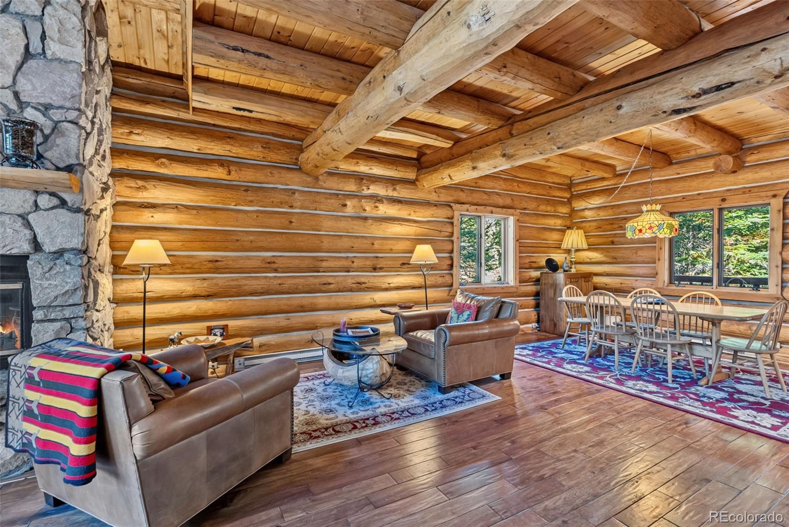 MLS Image #5 for 291  cr 533 ,breckenridge, Colorado