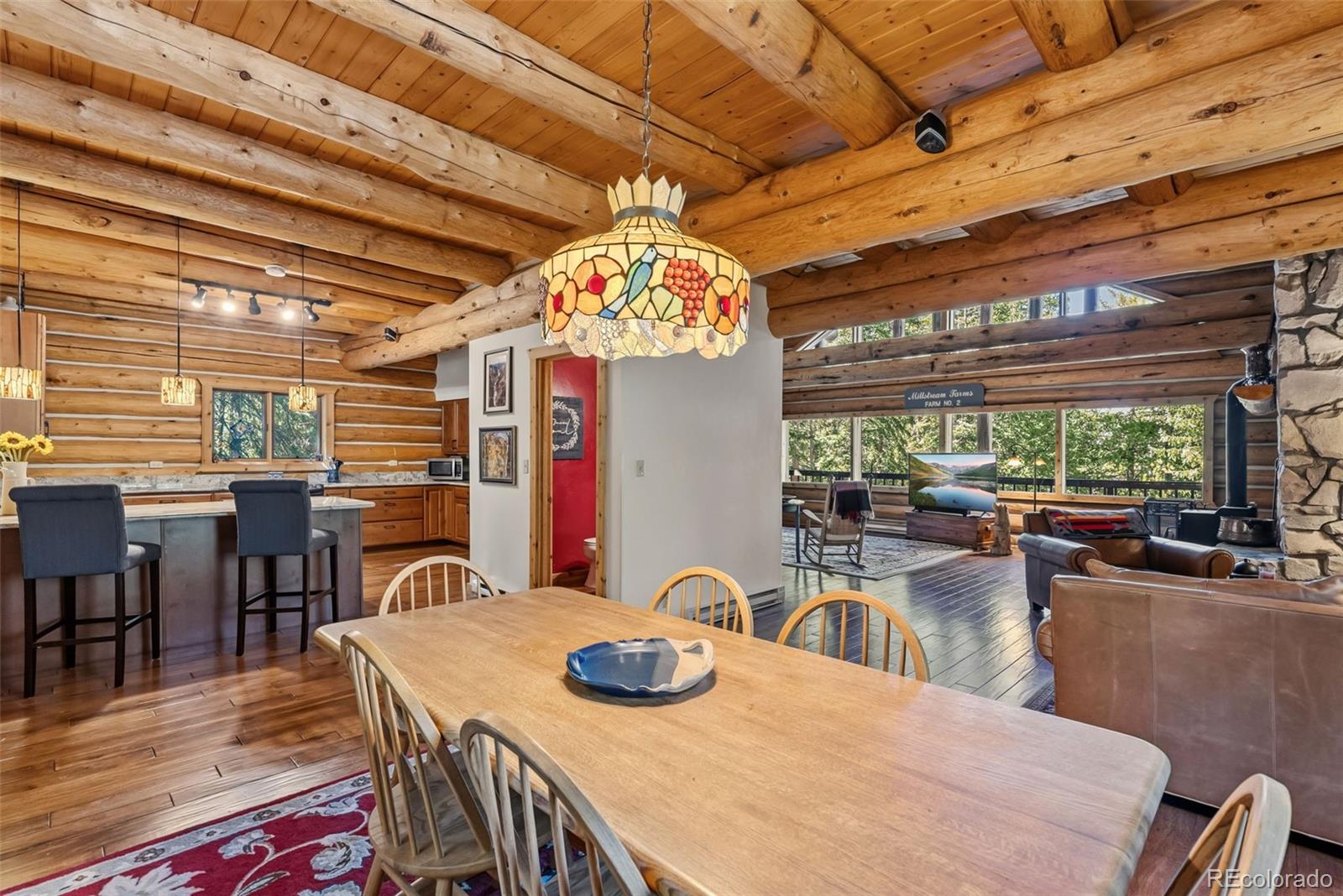 MLS Image #8 for 291  cr 533 ,breckenridge, Colorado
