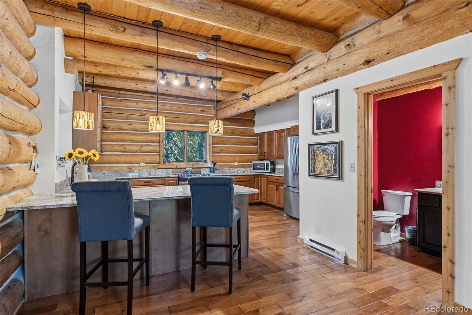 MLS Image #9 for 291  cr 533 ,breckenridge, Colorado