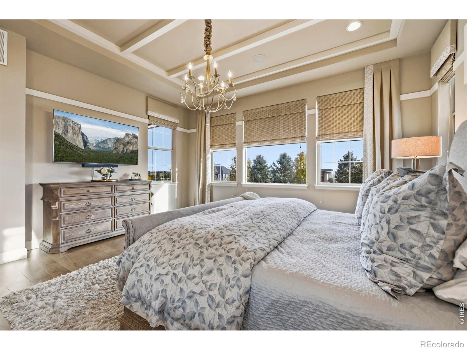 MLS Image #12 for 3141  laminar court,timnath, Colorado