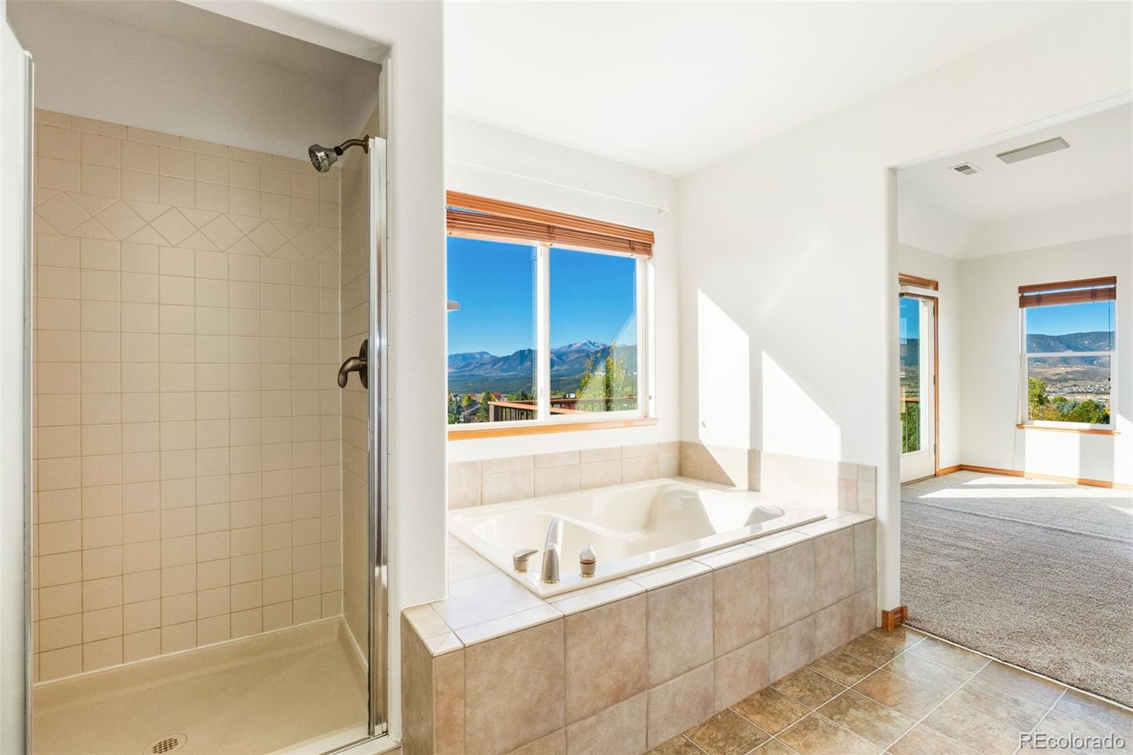 MLS Image #29 for 119  walters creek drive,monument, Colorado