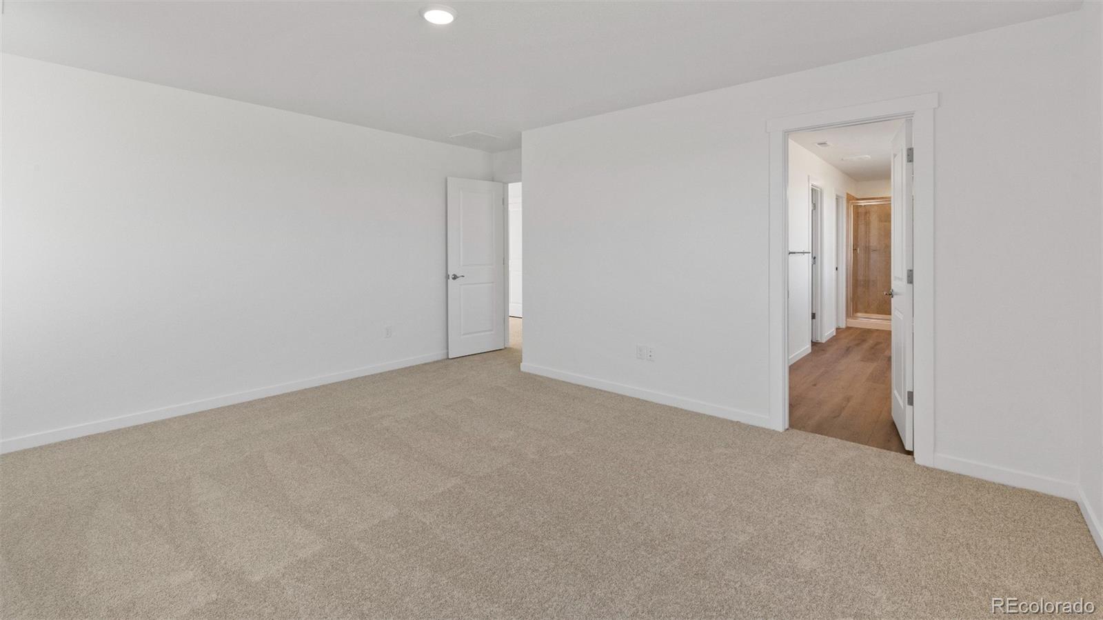 MLS Image #12 for 1404  boyle street,windsor, Colorado