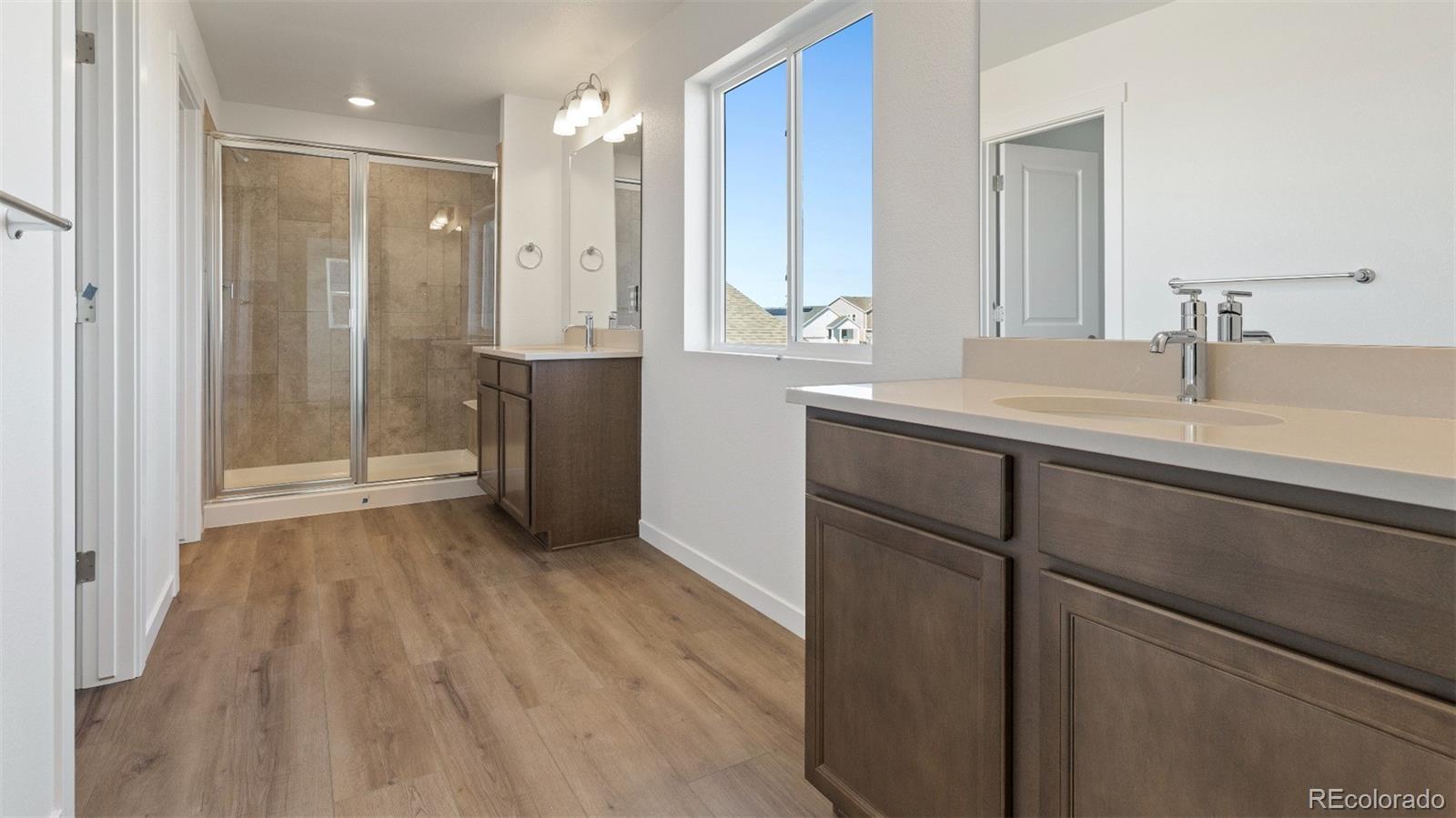 MLS Image #13 for 1404  boyle street,windsor, Colorado