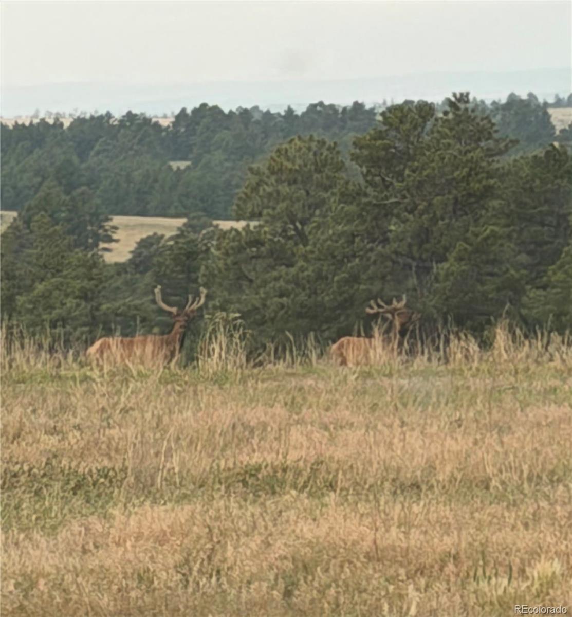 MLS Image #46 for 40547  gold nugget drive,deer trail, Colorado