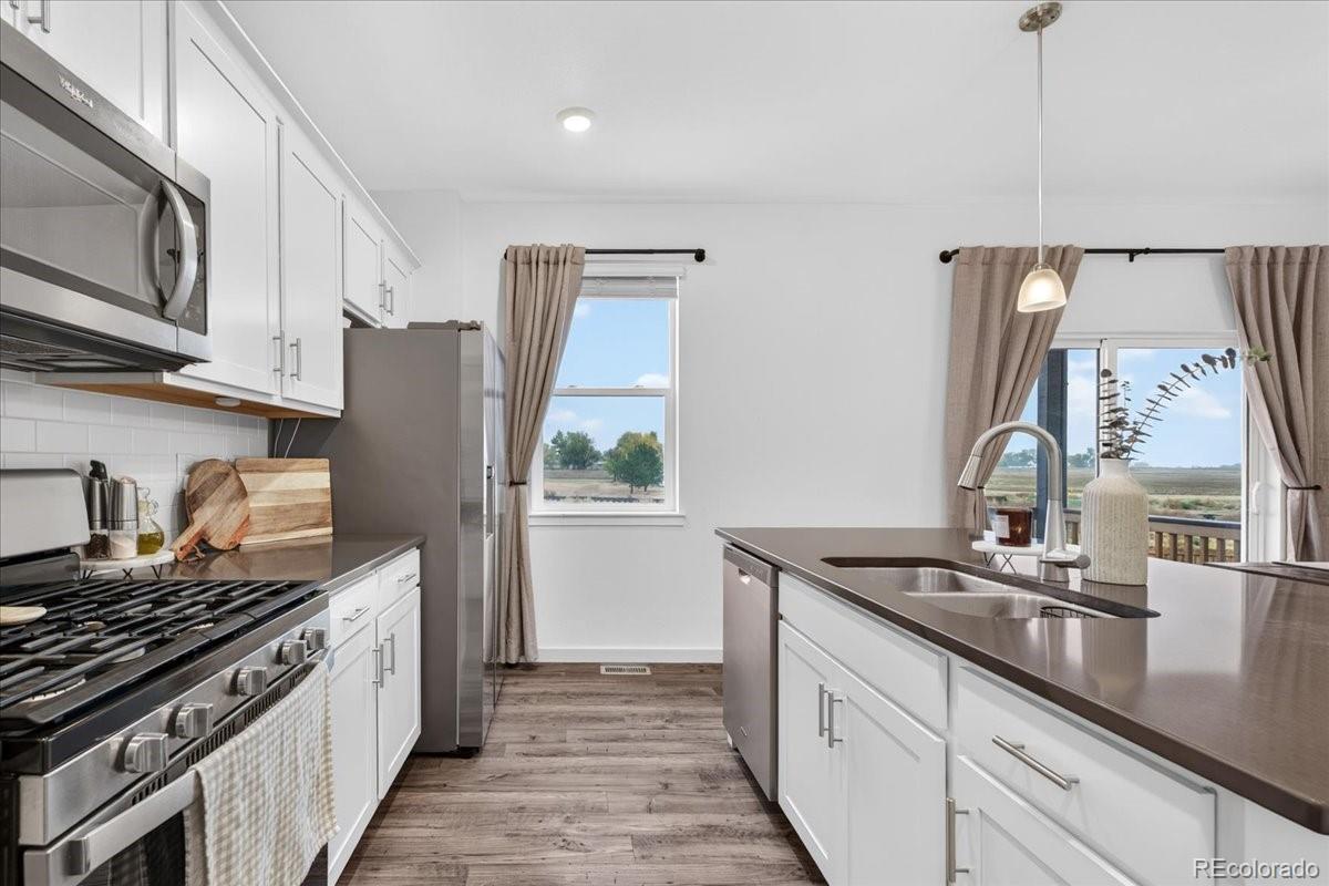 MLS Image #14 for 14706  bonsmara drive,mead, Colorado