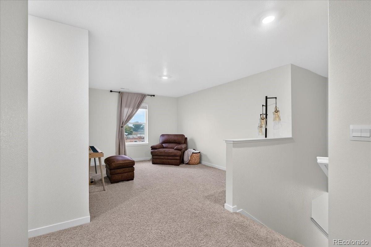MLS Image #20 for 14706  bonsmara drive,mead, Colorado