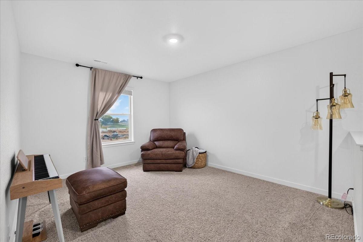 MLS Image #21 for 14706  bonsmara drive,mead, Colorado