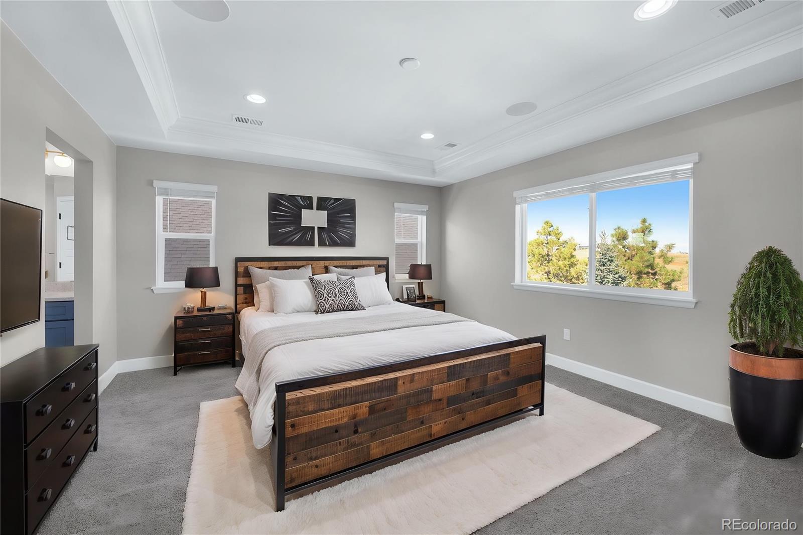 MLS Image #19 for 6151  saddle bow avenue,parker, Colorado