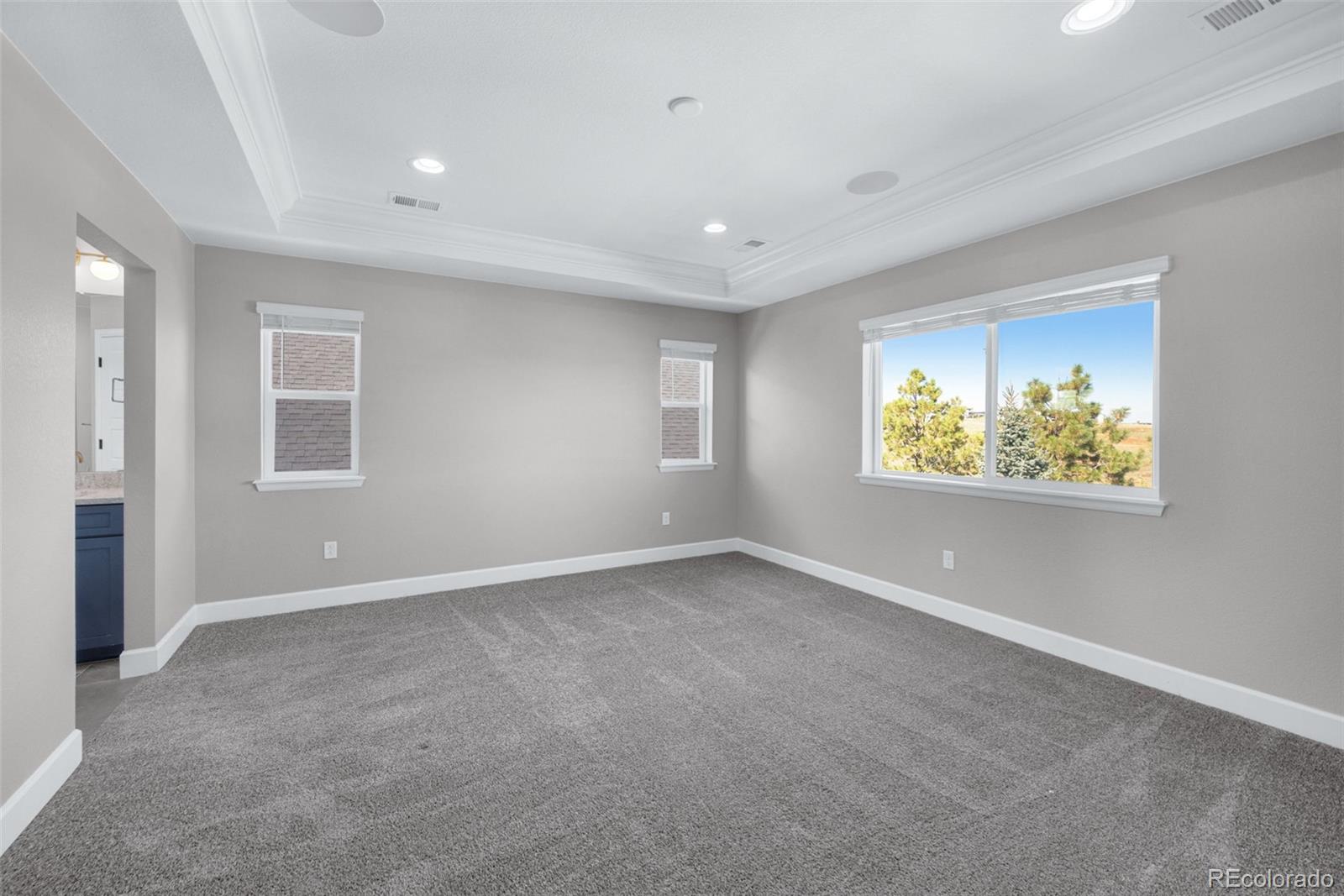 MLS Image #20 for 6151  saddle bow avenue,parker, Colorado