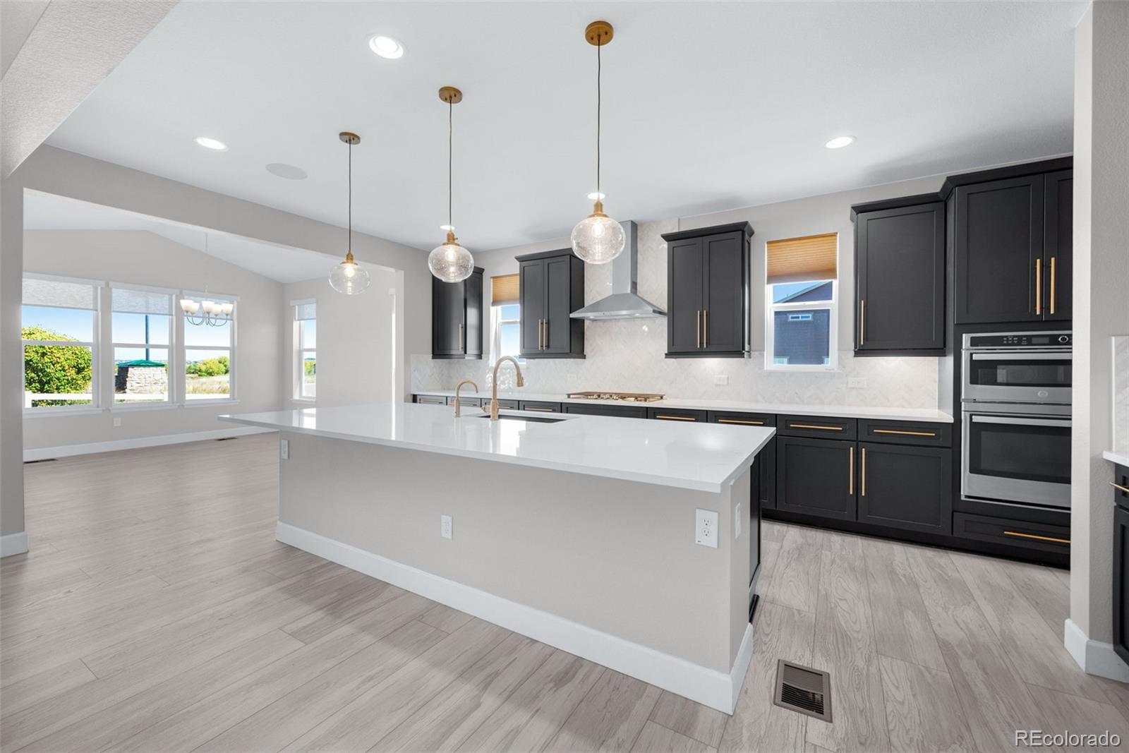 MLS Image #3 for 6151  saddle bow avenue,parker, Colorado