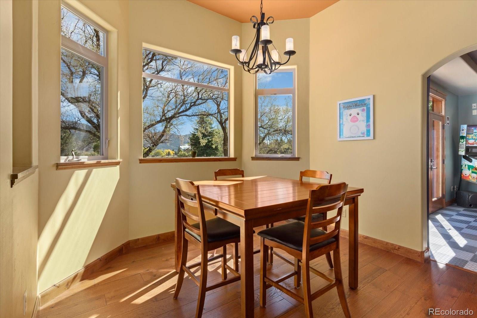 MLS Image #18 for 312  cottonwood circle,salida, Colorado
