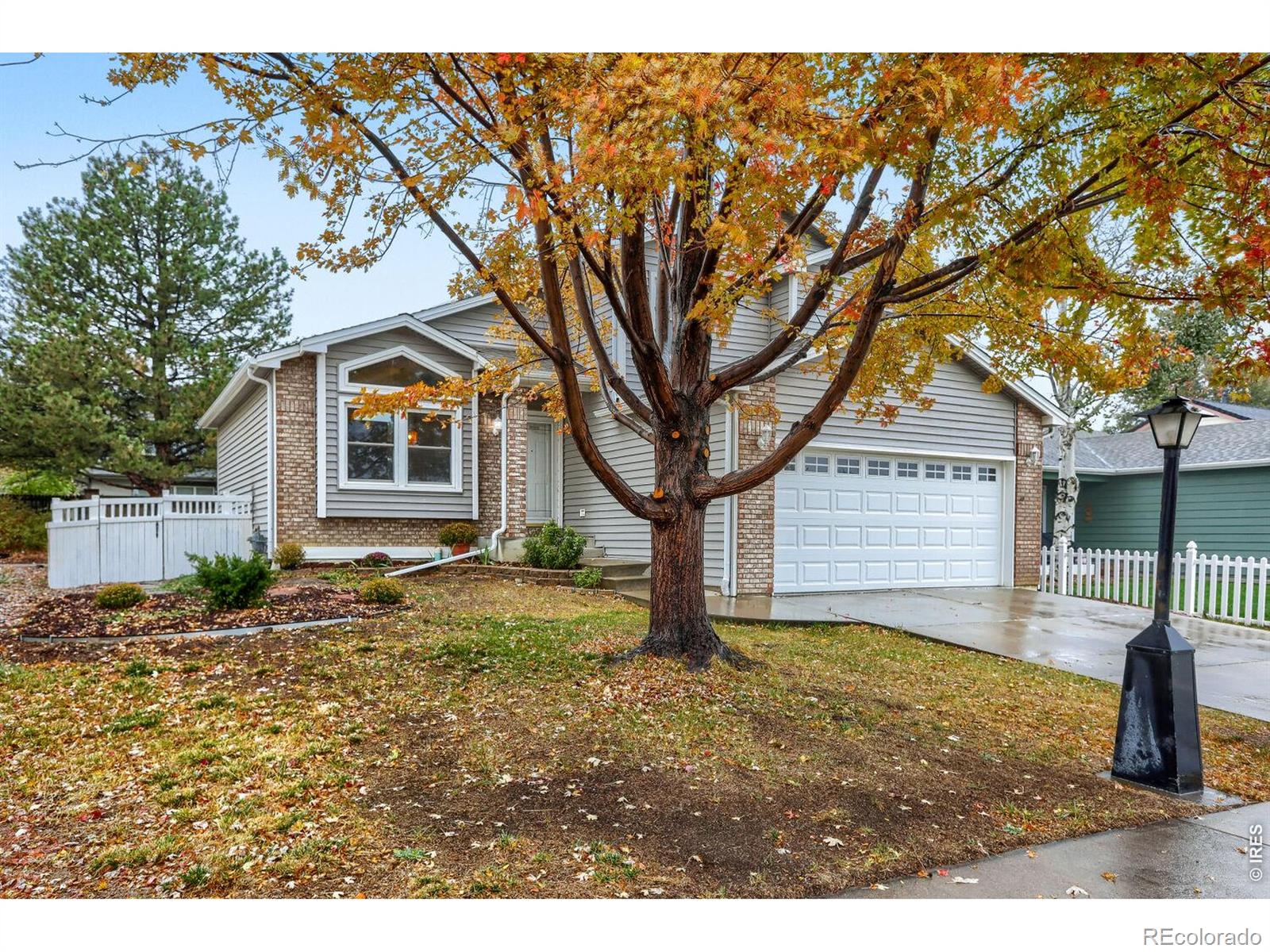 MLS Image #2 for 1805  spencer street,longmont, Colorado