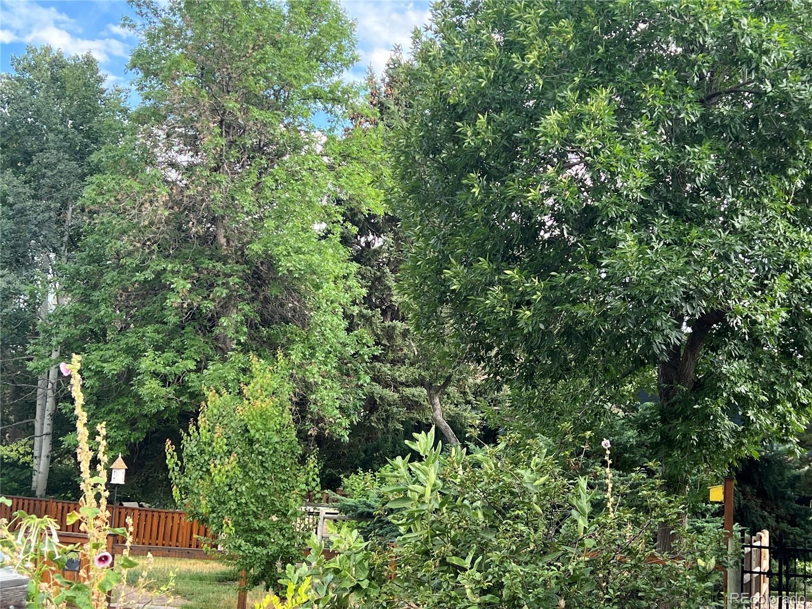 MLS Image #48 for 500  apple blossom lane,fort collins, Colorado