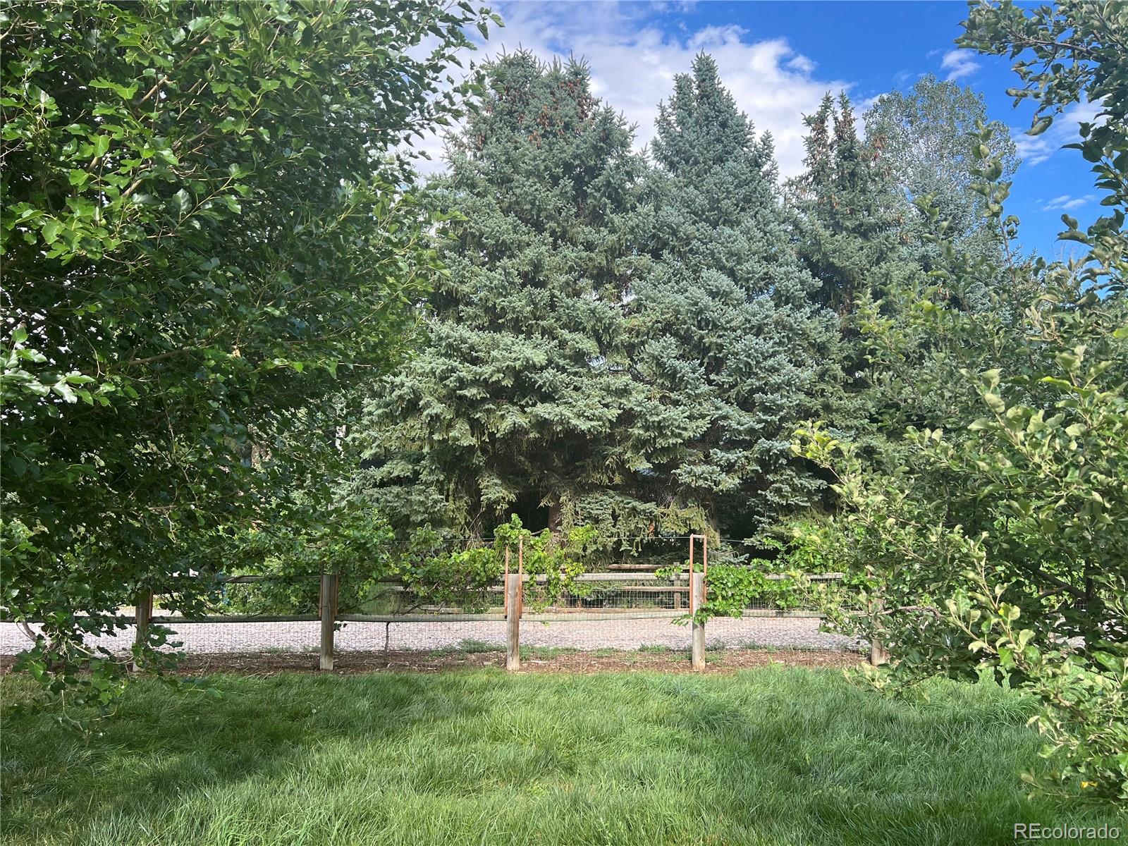 MLS Image #49 for 500  apple blossom lane,fort collins, Colorado