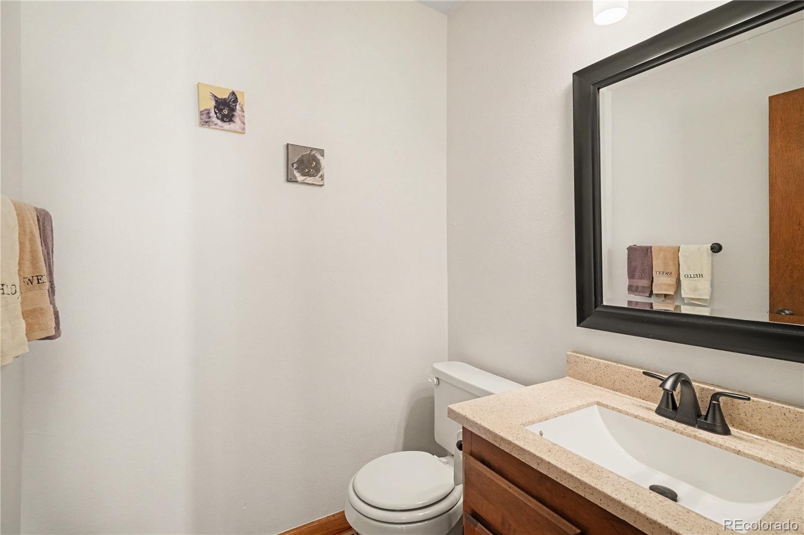 MLS Image #11 for 10588  park mountain ,littleton, Colorado