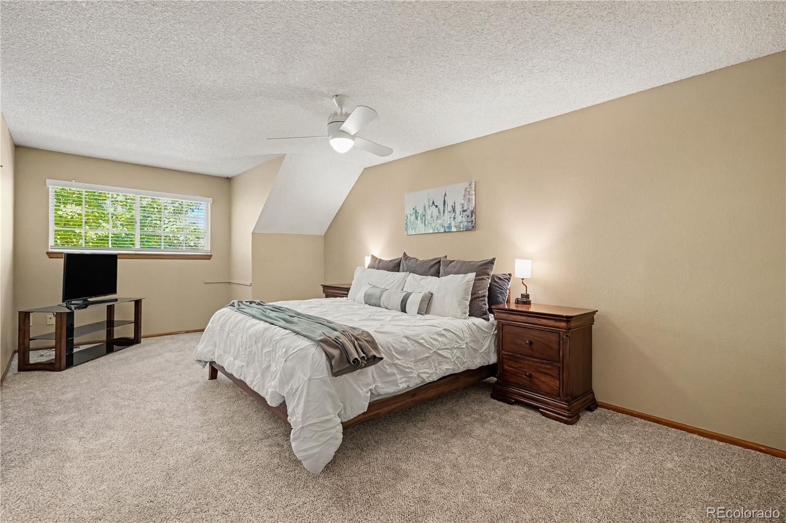 MLS Image #17 for 10588  park mountain ,littleton, Colorado
