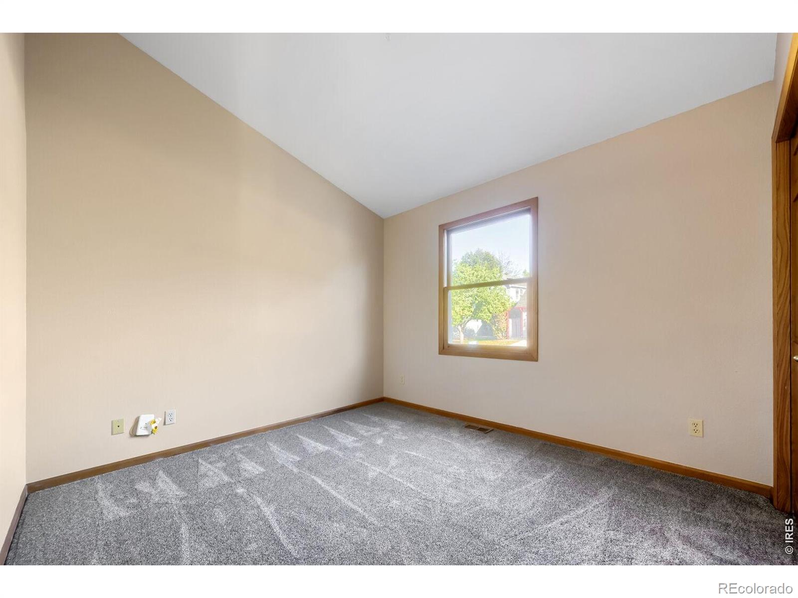 MLS Image #22 for 3103  concord way,longmont, Colorado