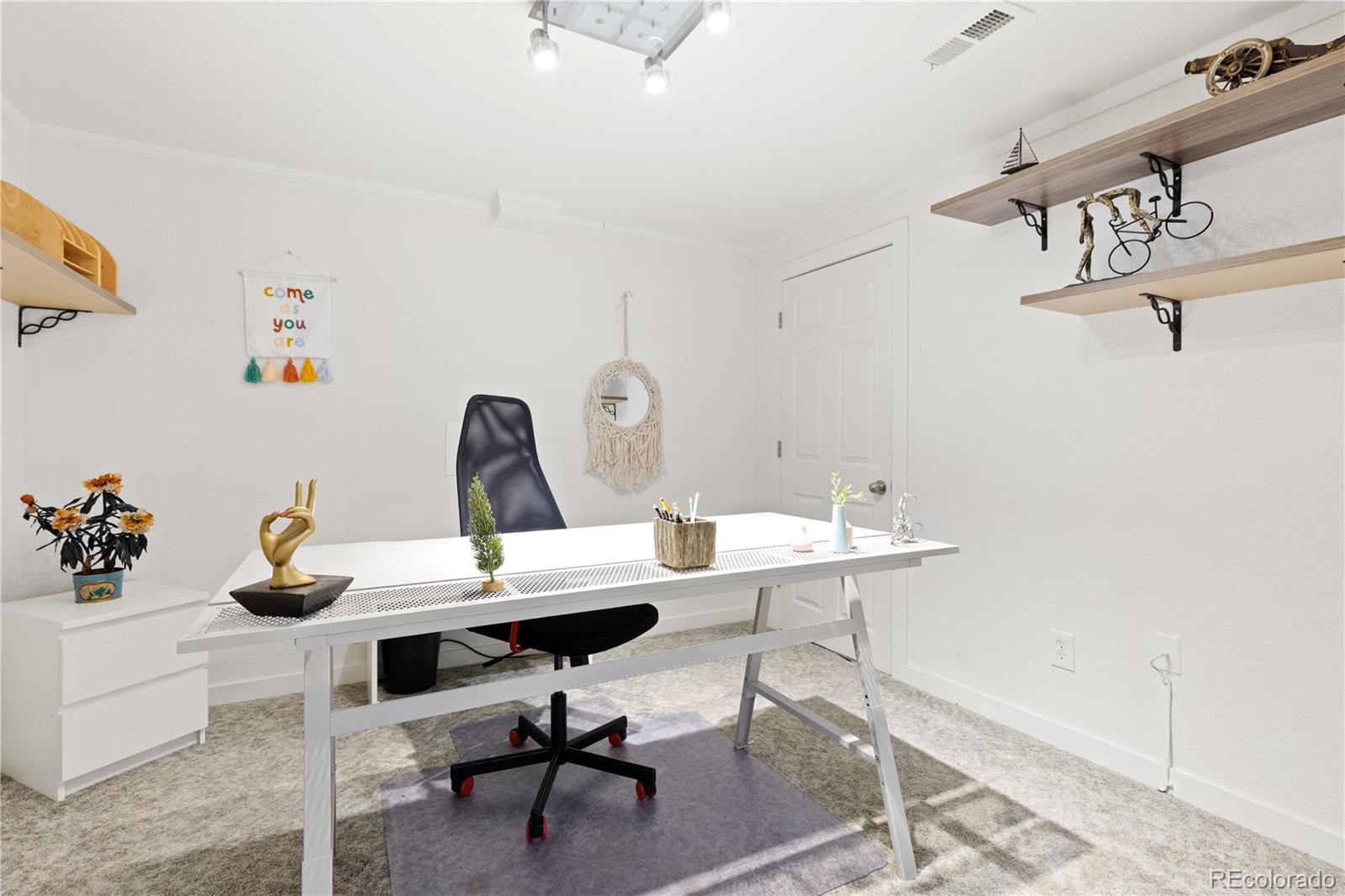 MLS Image #26 for 8266 s logan court,littleton, Colorado