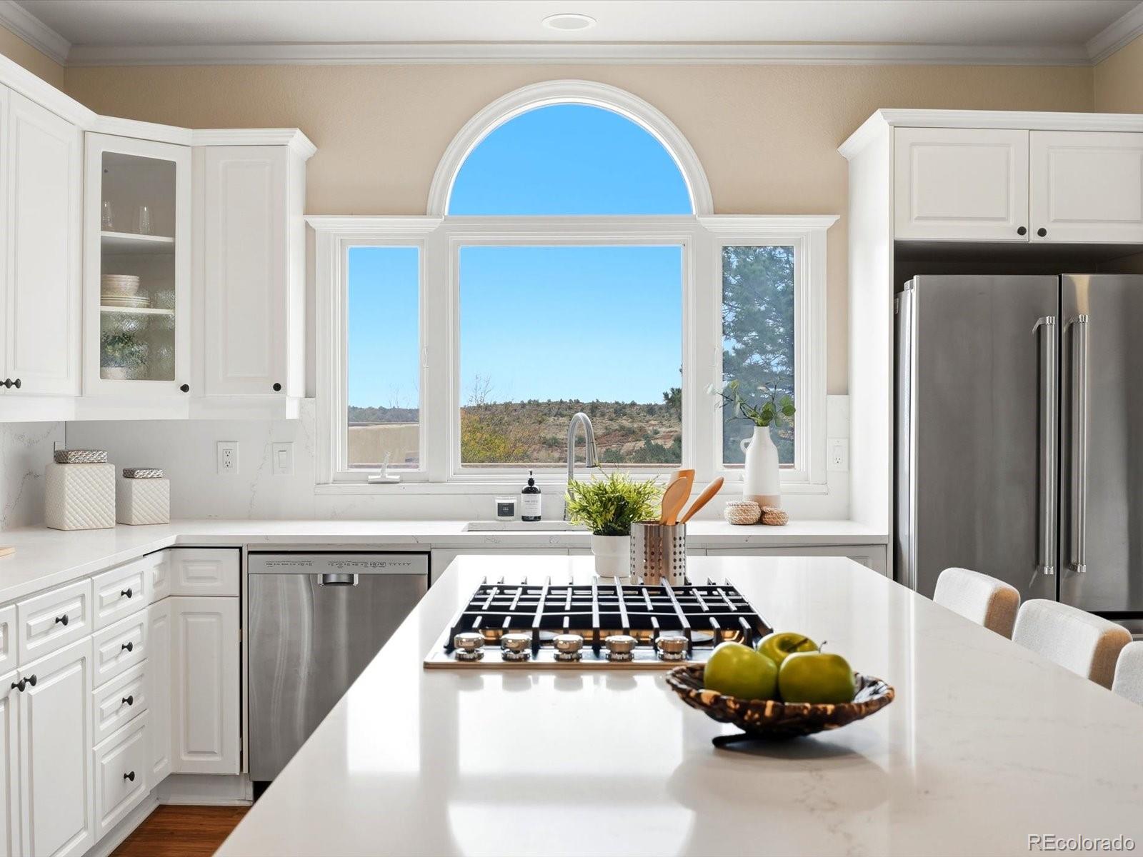 MLS Image #17 for 6303  willow broom trail,littleton, Colorado