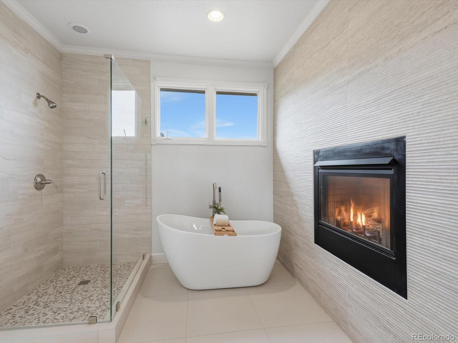 MLS Image #25 for 6303  willow broom trail,littleton, Colorado
