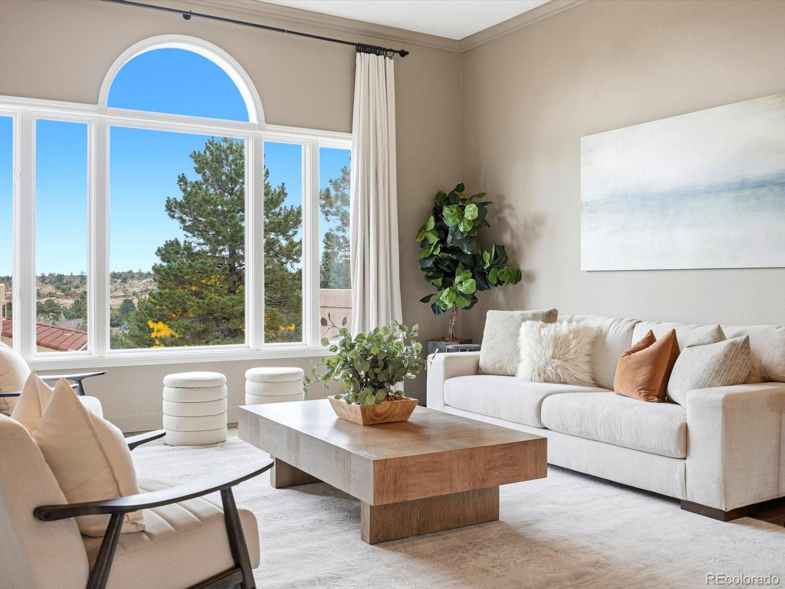MLS Image #9 for 6303  willow broom trail,littleton, Colorado
