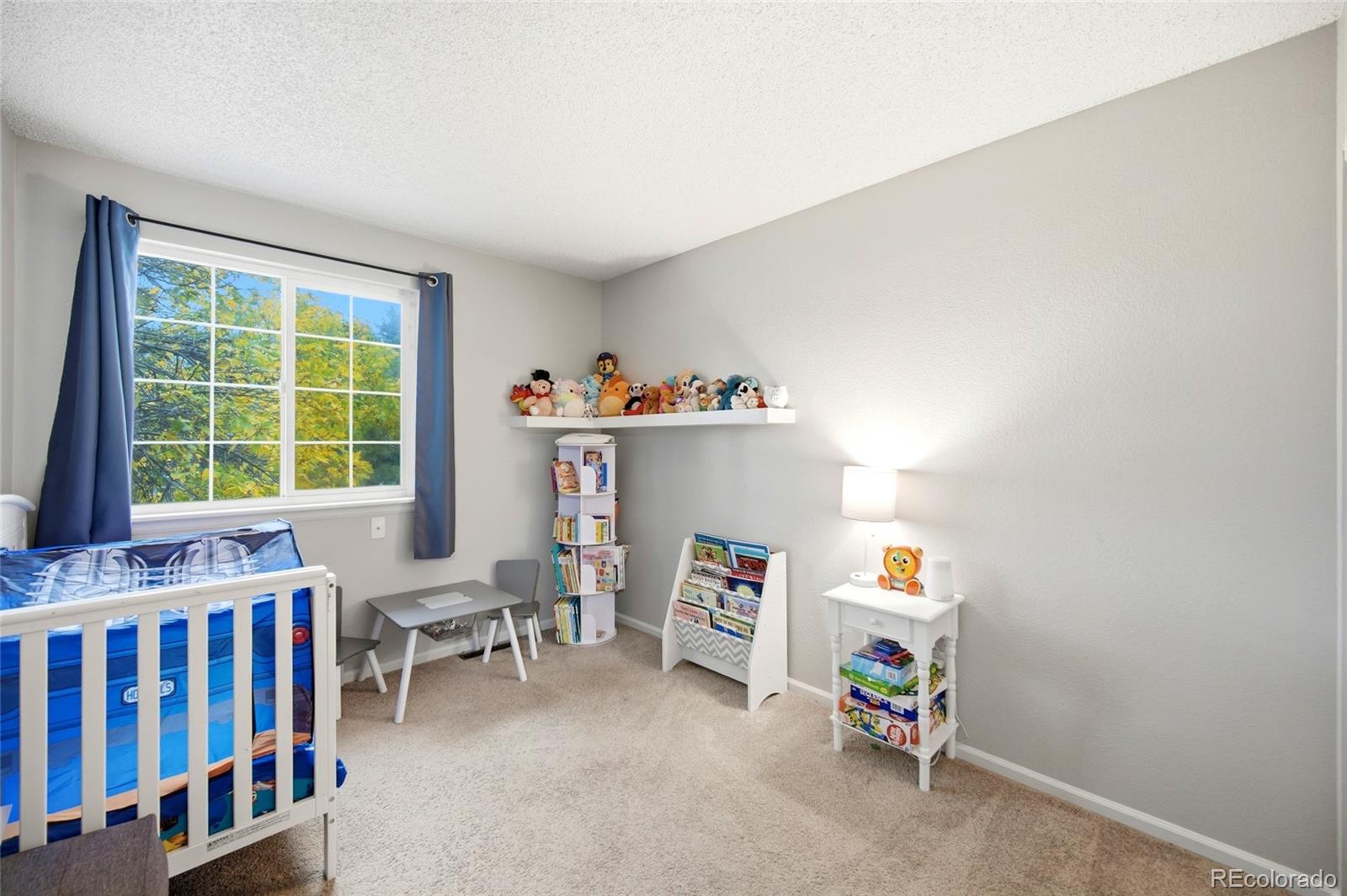 MLS Image #18 for 1247 n deckers place,castle rock, Colorado
