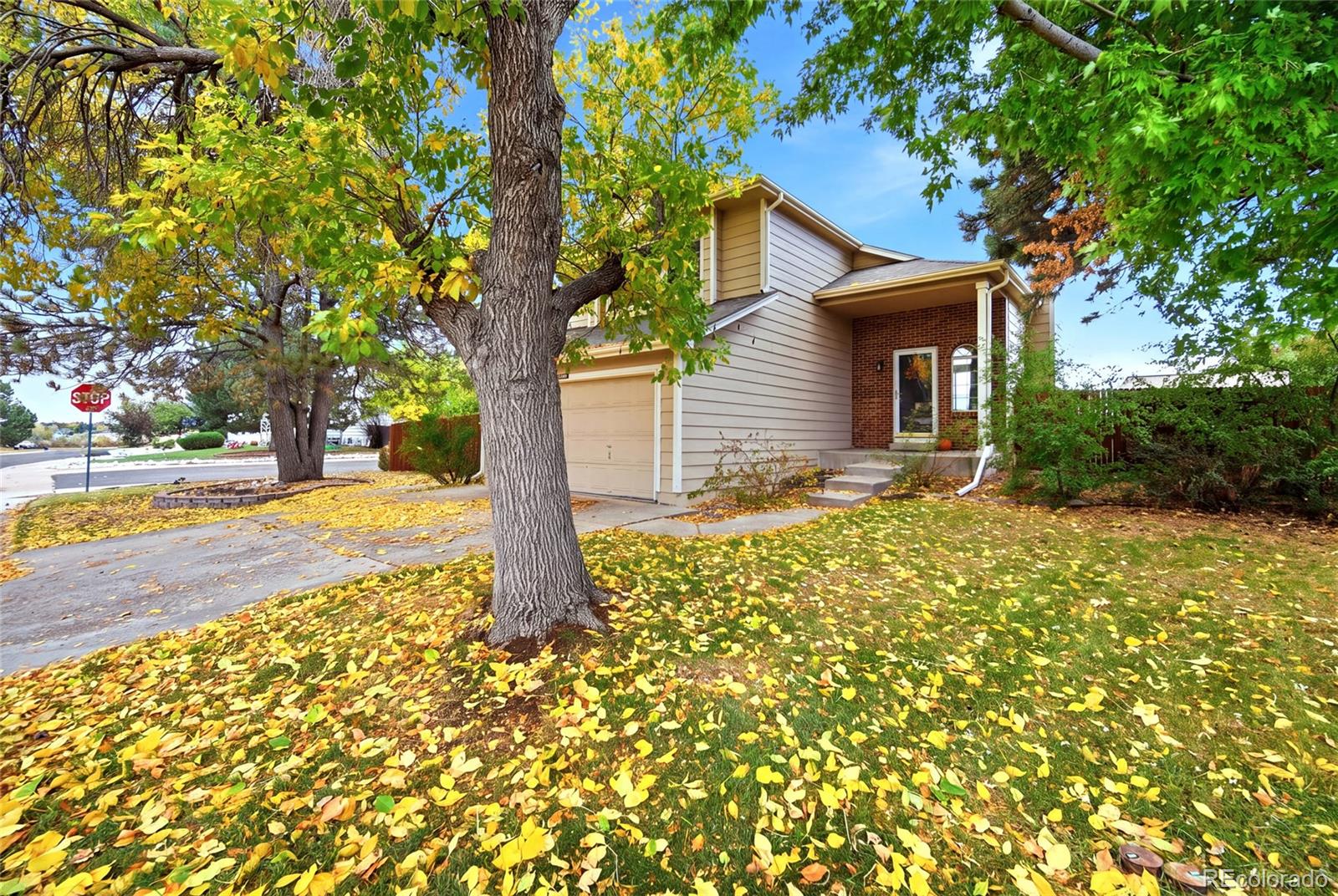 MLS Image #3 for 1247 n deckers place,castle rock, Colorado