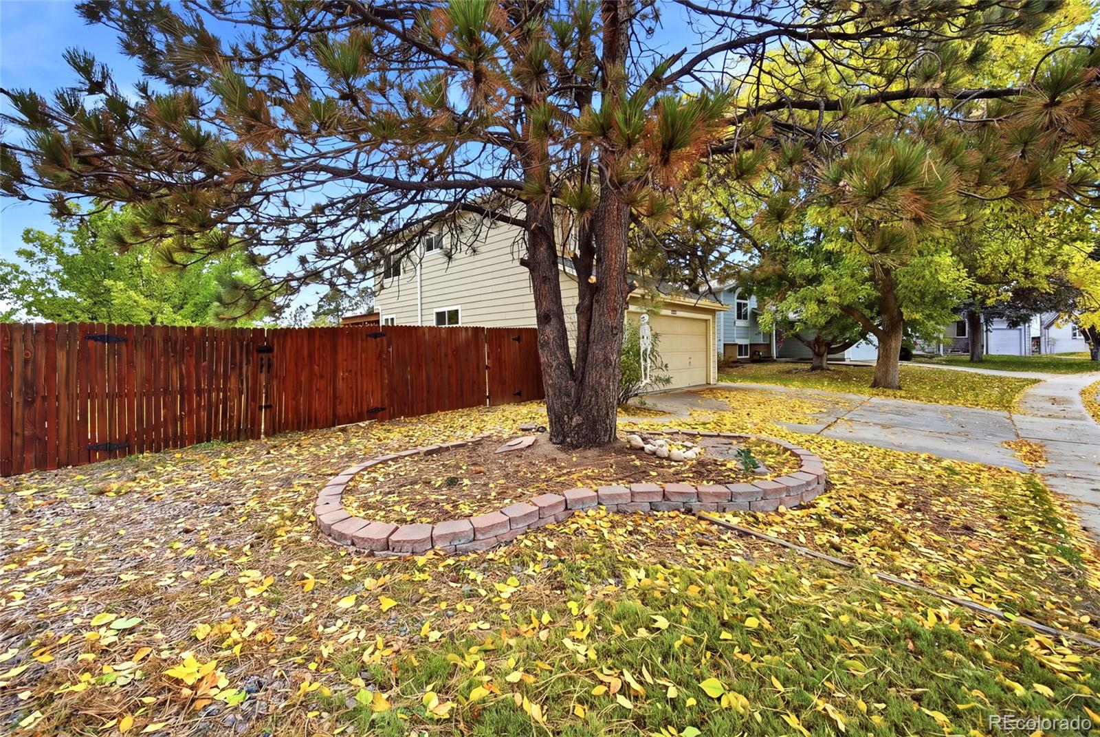 MLS Image #4 for 1247 n deckers place,castle rock, Colorado