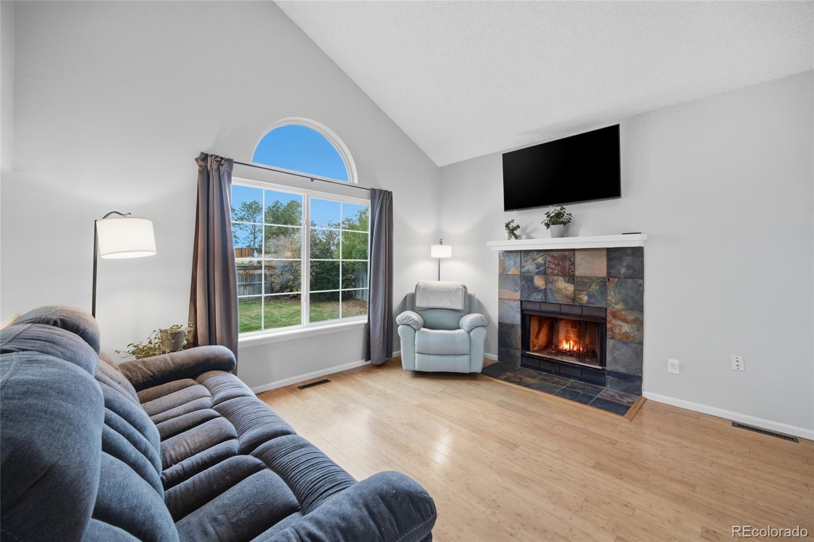 MLS Image #5 for 1247 n deckers place,castle rock, Colorado
