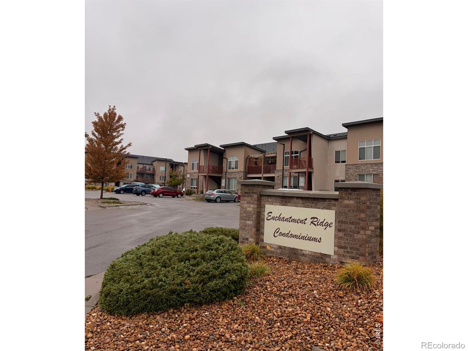 MLS Image #0 for 2940  kincaid drive,loveland, Colorado