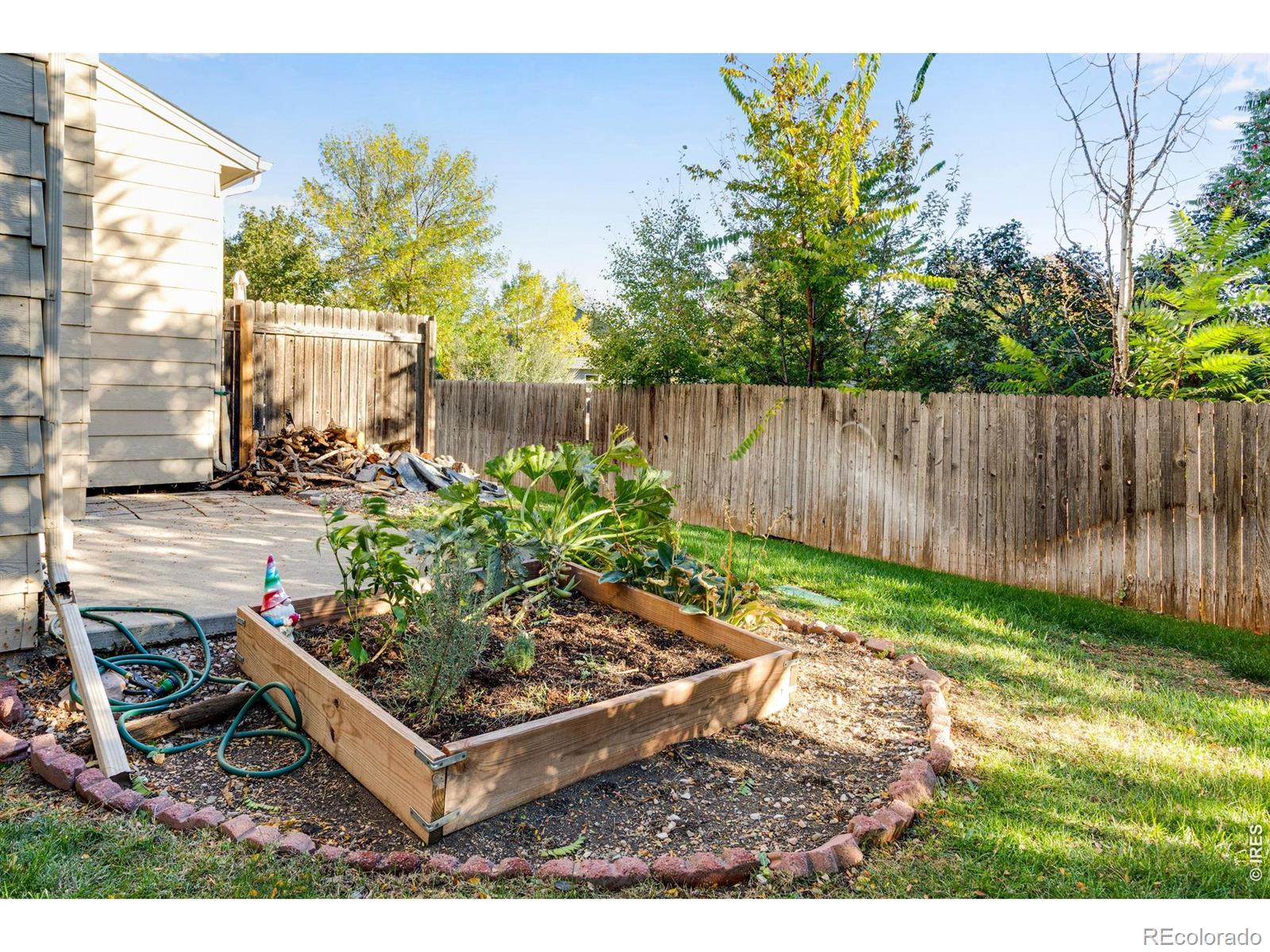 MLS Image #2 for 242 e 42nd street,loveland, Colorado