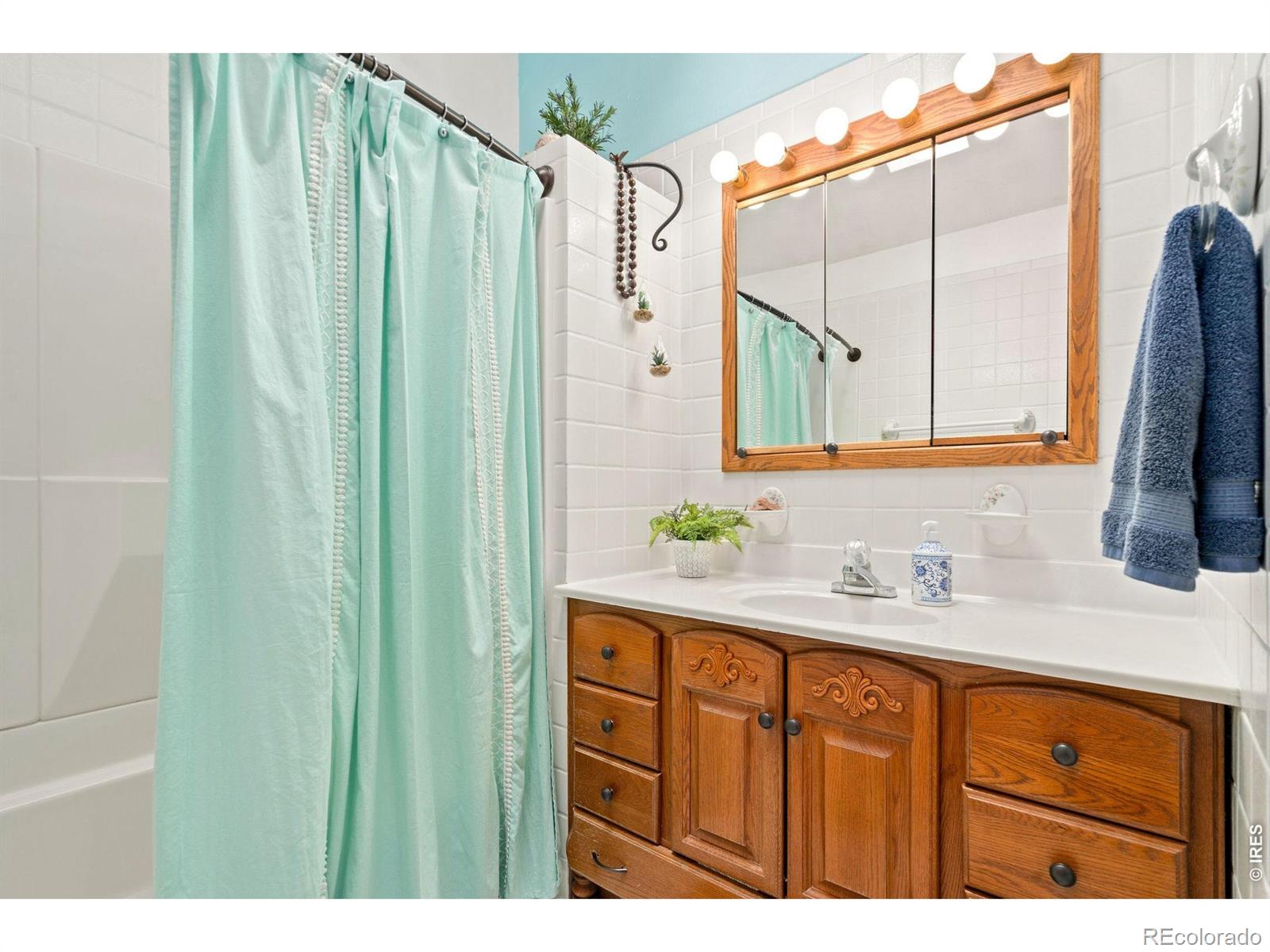 MLS Image #27 for 4008  sunset drive,fort collins, Colorado