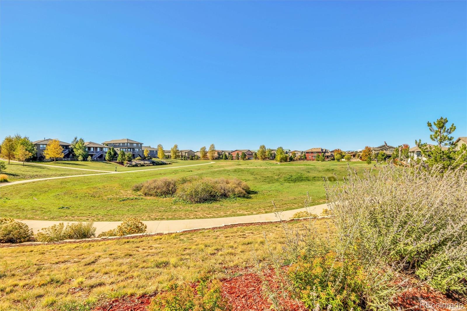 MLS Image #13 for 10053  nadine lane,parker, Colorado