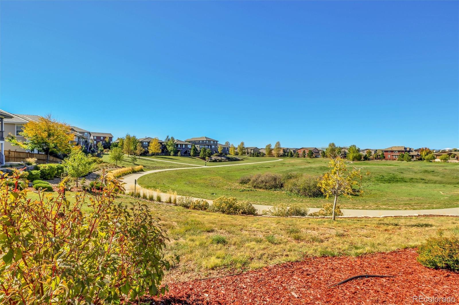 MLS Image #14 for 10053  nadine lane,parker, Colorado
