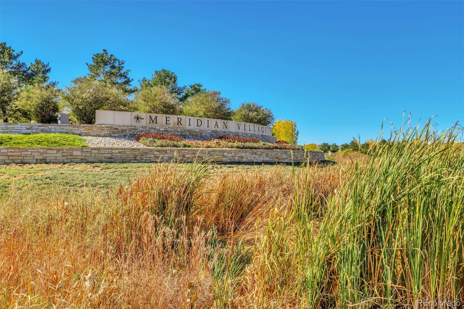 MLS Image #18 for 10053  nadine lane,parker, Colorado
