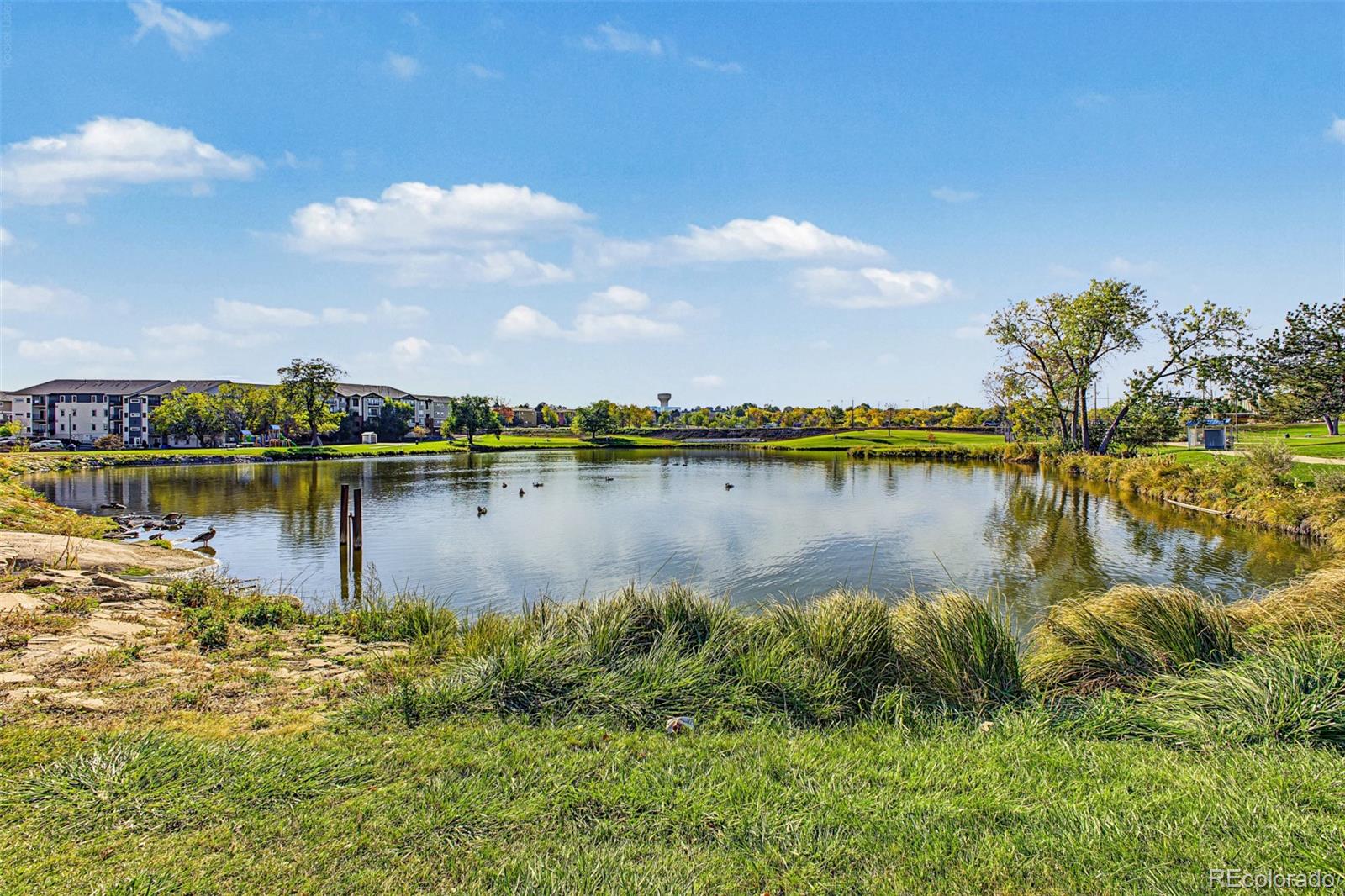 MLS Image #27 for 1401 w 85th avenue,federal heights, Colorado