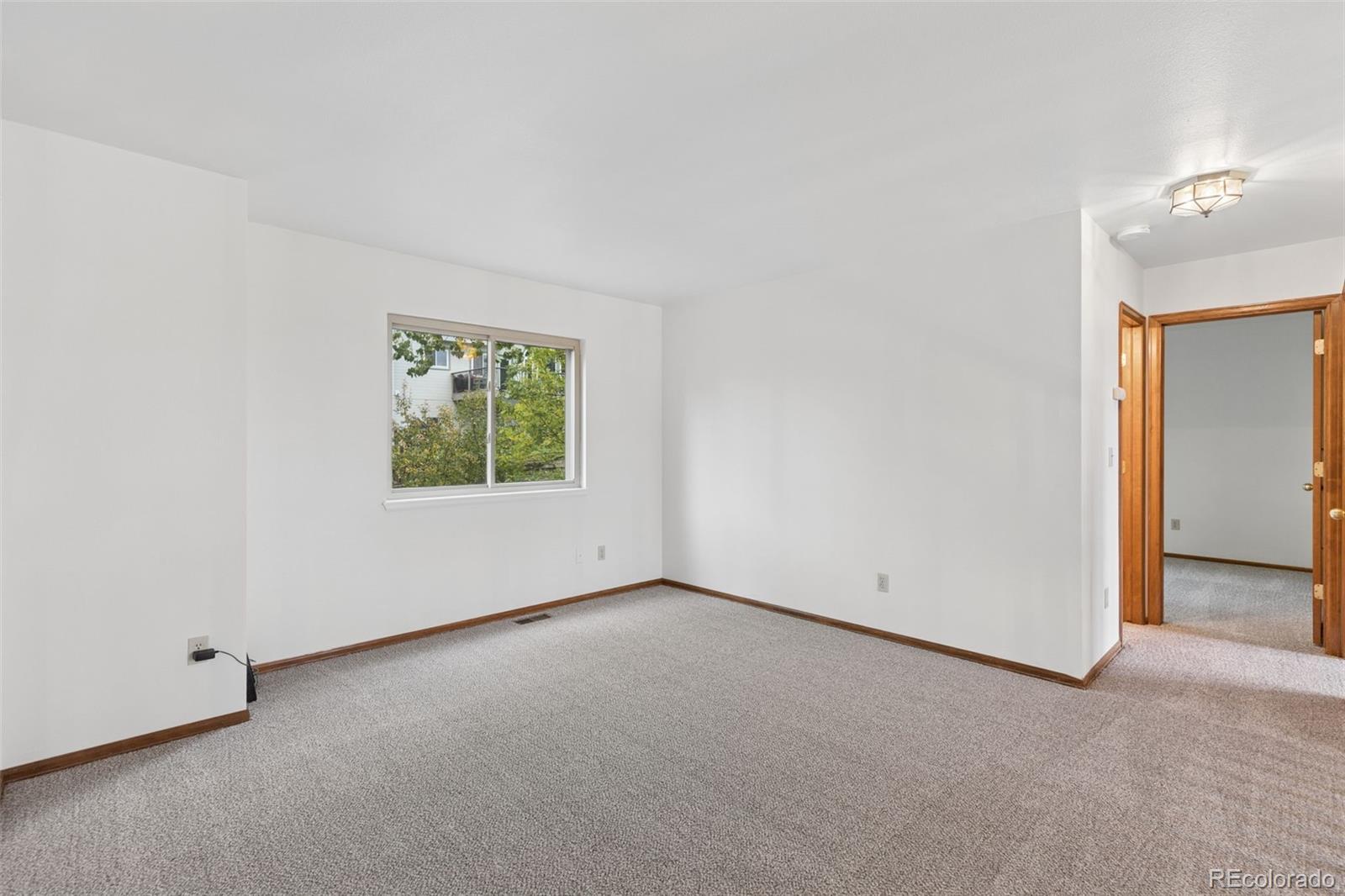 MLS Image #15 for 1030  beacon hill way,colorado springs, Colorado