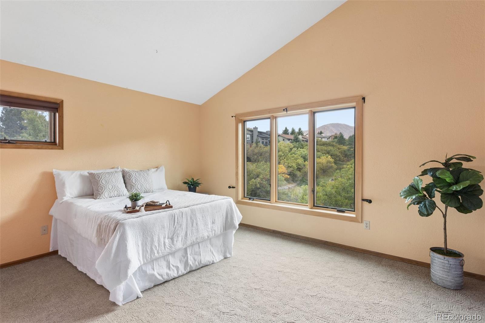 MLS Image #17 for 1570  big valley drive,colorado springs, Colorado